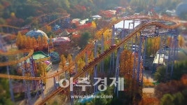 과천 서울랜드, 취향따라 골라 즐기는 이색 단풍놀이 추천 코스 소개