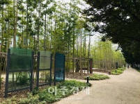 정장선 평택시장, 도시숲 분야 전국 5관왕...30년 그린웨이 지속적으로 추진할 것