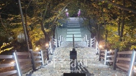 대구 북구, 사진찍기 좋은 벚꽃 명소 침산정 거듭