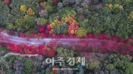 대구 동구, SNS 활용… 팔공산 갓바위지구 이벤트