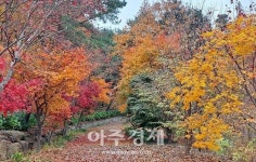 구례수목원, 가을 단풍과 벚꽃으로 울긋불긋 관광객 사로잡아