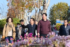 수원시, 원강수 원주시장 수원 명소 테마전정 가로수길 벤치마킹