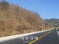 무주군, 군도8호선 무주읍~부남면 우회도로에 가로수 식재