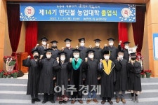 무주군, 군도8호선 무주읍~부남면 우회도로에 가로수 식재