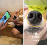 [Tech in Trend] 사람은 지문, 반려동물은 코주름...아이싸이랩, 멍냥이 등록·보험 시대 연다