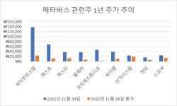 급락한 메타버스株·· 내년부터는 상승 기대감