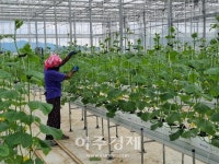 남원시, 노후주택 밀집 취약구역 생활안전개선 공모사업 선정