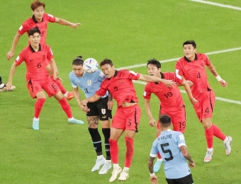 [카타르 월드컵] 벤투에게 옐로카드 준 주심 '브라질전'서도 주심으로
