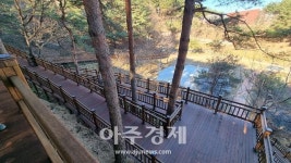 양양군, 송이밸리자연휴양림에 무장애나눔길 조성