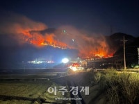 강원 삼척시 근덕면 동막리 산불 발생