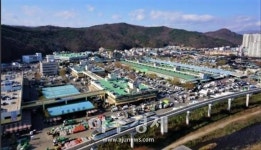 대구시, 연간 1조원 운영 대구농수축산물유통공사 설립 추진