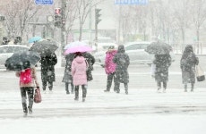 농식품부, 폭설·한파 대응 긴급 상황점검 회의