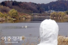 전북 남원 육용오리 농장서 고병원성 조류인플루엔자 확진