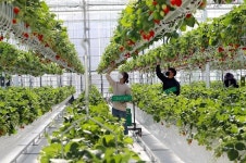 밀양시, 스마트팜 청년창업 생태계 조성 완전체 이뤄