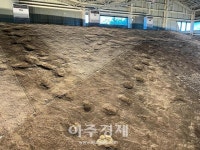 군산시 산북동 공룡과 익룡 발자국 화석산지 공개