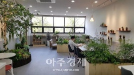 익산 중앙시장 청년몰 인기 몰이