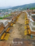 경산시, 양봉농가 경쟁력 제고와 품질 차별화위한 지원사업 추진