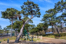 수원시, 겨울 그냥 보내기 아쉽다면 수원으로 오세요