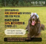 세상 모든 반려견이 행복할 수 있도록… 강아지숲, 국제 강아지의 날 기념 특별 행사