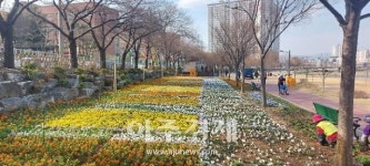 경산 남천강 둔치 강변에서 정원으로 환골탈퇴 했다