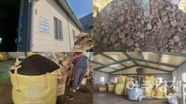 [르포] 커피 6잔이 화분 1개로 업사이클링…일자리 창출까지