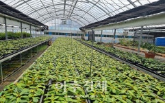 화성시, 시민의 먹거리기본권 보장 위한 먹거리 정책 박차