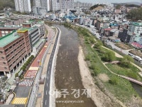 용인시, 끊겼던 양지천 산책로 고진천교↔경안천 합류부 660m 구간 연결