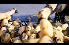 中 CMG, 샹양 사계절-겨울 향유의 계절