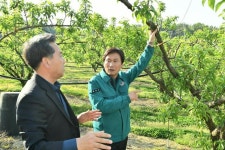 경산시, 저온‧서리 피해 농가에 피해예방 대책 홍보 및 적극 대응 시행