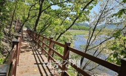 무주군, 쉼과 돌봄의 숲길 조성