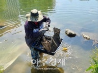 성남시, 탄천 14곳 배스 인공산란장 설치