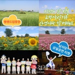 안성시, 도심 속 길거리 소풍 행사개최