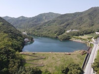 제천시 의림지 한방 치유숲길서 오감 치유하세요