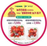 부여군, 품질 보장 부여 방울토마토 세븐일레븐에서 만나요