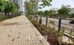 수원시, 명품 가로숲길 정원형 띠녹지 8곳 조성