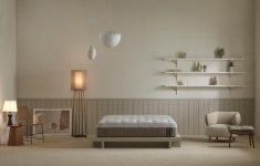 현대가 품으니 잘나가네...지누스, 국내사업 연매출 1000억 달성 눈앞