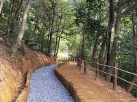 도심 속 초록 쉼터, 경산 치유의 숲 시범 운영