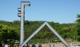 SKY대학 중도탈락자 2131명, 5년 새 최고치…인문계열서 급증