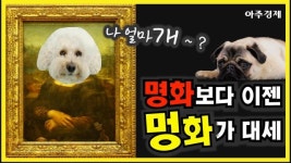 [수습의 시선] 금쪽같은 내 새끼... 나보다 좋은 거 해~  늘어나는 펫팸족 !