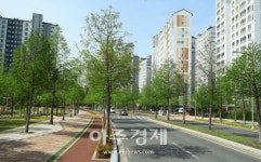 대구 동구, 녹색도시 우수사례 공모 가로수 부문 최우수