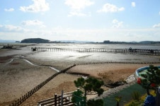 [기수정의 여행 in] 살아숨쉬는 무안 갯벌…생채기 난 내맘에도 새살 돋을까