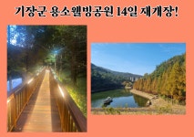 [기장군소식]기장군 용소웰빙공원, 재정비 마치고 14일 재개장 外