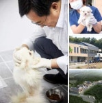 김동연, 애니웰(AniWel)은 사람과 동물이 함께 행복한 경기도형 반려동물 정책