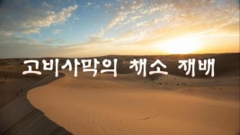 中 CMG, 고비사막의 채소 재배