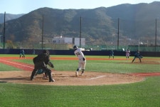 스포츠 메카 밀양에 야구를 더하다