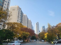 이달 총회 개포우성6차 조합설립 목전…개포 재건축 속도
