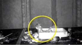 [영상] 창고를 치우지 않는 이유?…특별한 우렁각시(?) 때문