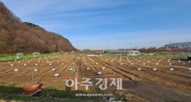 대구 수성구, 신선한 먹거리, 건전한 여가 공영도시농업농장 분양자 모집