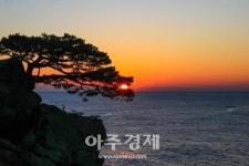 양양군, 하조대 탐방로 및 주변 정비 추진
