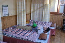 [김다이의 다이렉트] 벚꽃·야생화 반기는 완주…몸과 마음 힐링으로 완벽한 주말